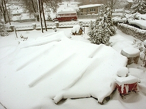 Bild vom: 30.01.2004 - ber Nacht 30 cm Neuschnee